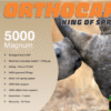 Orthocare 5000 MAGNUM